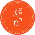 הישיבה החילונית בפאלו אלטו - בינ"ה התנועה ליהדות חברתית